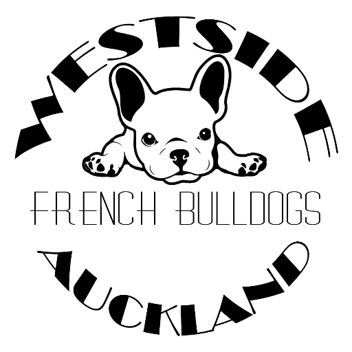 Westside French Bulldogs